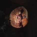 Recenzja Cronos The New Dawn Horror przeszlosci w przyszlosci. 22